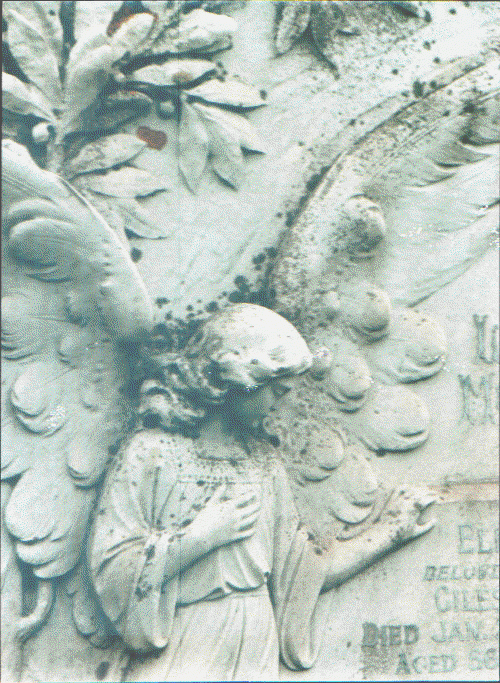 Angel